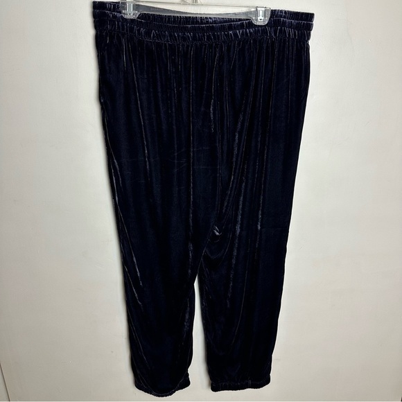 J Crew Velvet Pull On Pants Women’s size 14 Joggers Tapered Dark Blue - Picture 2 of 8